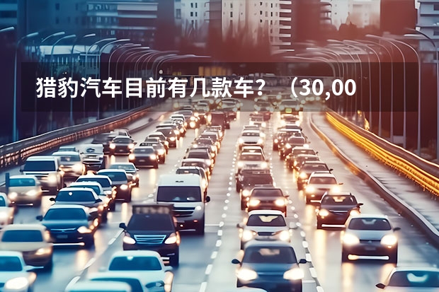 猎豹汽车目前有几款车?(30,000元以下二手四驱猎豹详细分析)