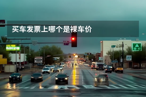 买车发票上哪个是裸车价