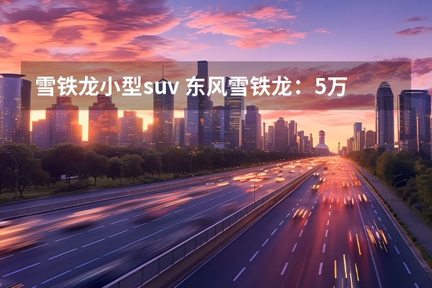 雪铁龙小型suv 东风雪铁龙:5万左右的车型