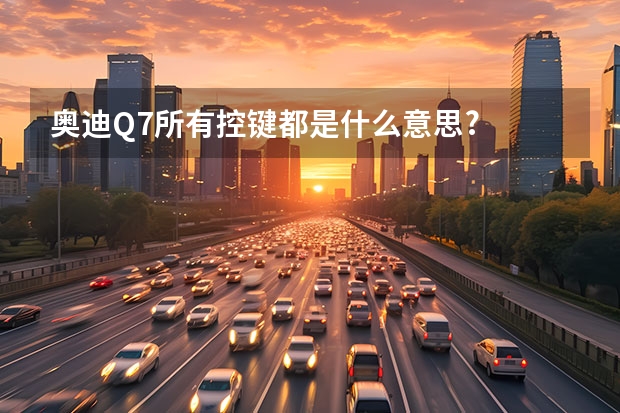 奥迪Q7所有控键都是什么意思?
