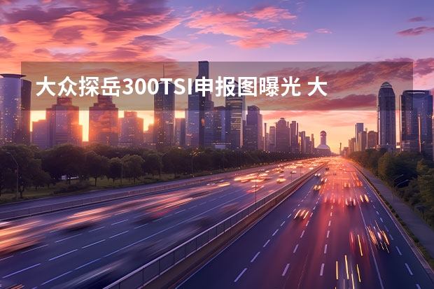 大众探岳300TSI申报图曝光 大众ID.6最新谍照曝光