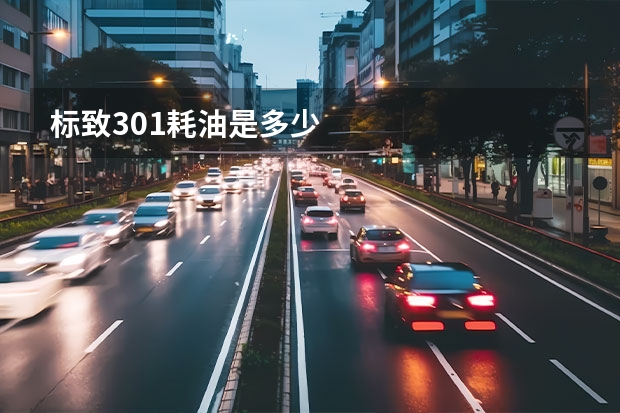 标致301耗油是多少