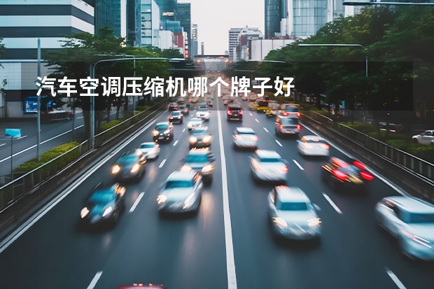 汽车空调压缩机哪个牌子好