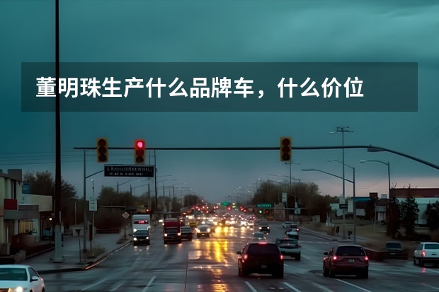 董明珠生产什么品牌车，什么价位