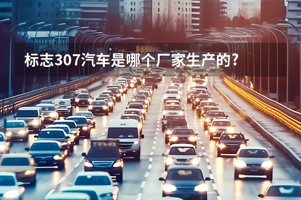 标志307汽车是哪个厂家生产的?