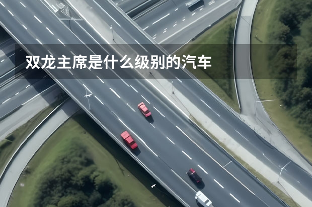 双龙主席是什么级别的汽车