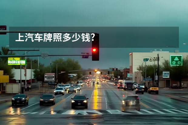 上汽车牌照多少钱?