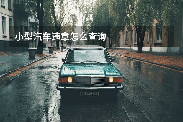 小型汽车违章怎么查询