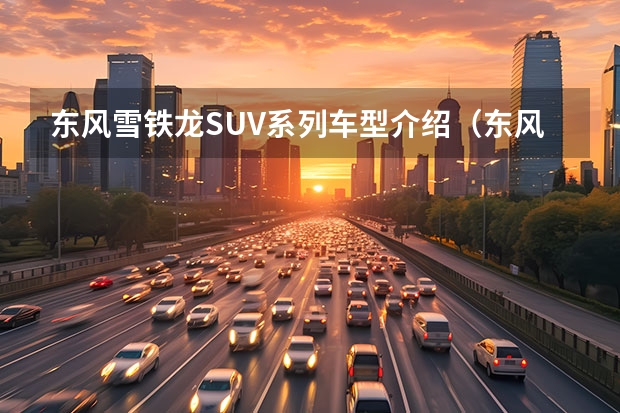 东风雪铁龙SUV系列车型介绍(东风雪铁龙:5万左右的车型)