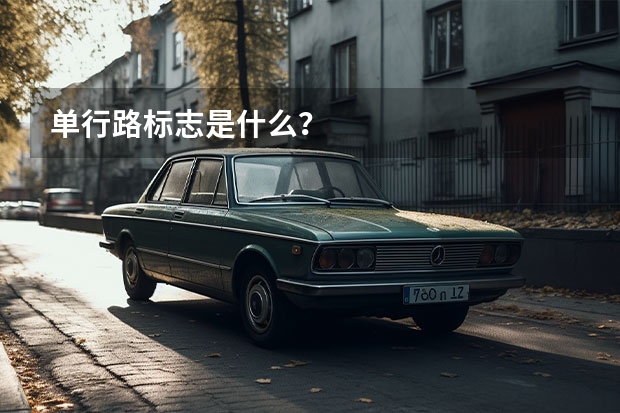 单行路标志是什么?