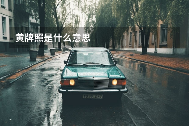 黄牌照是什么意思