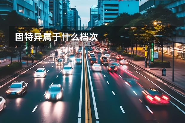 固特异属于什么档次