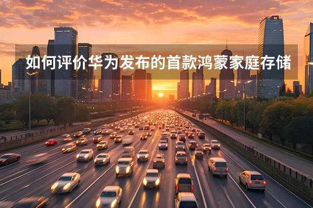 如何评价华为发布的首款鸿蒙家庭存储?