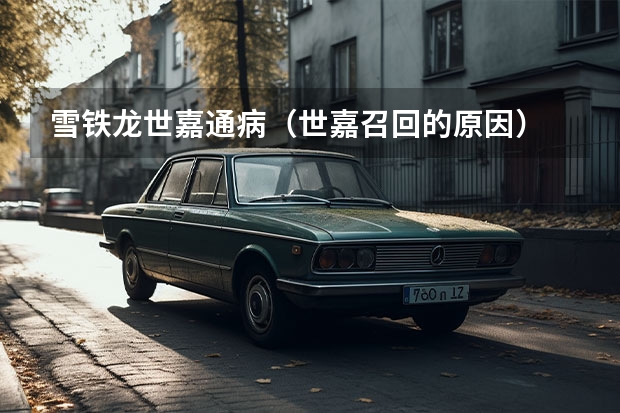 雪铁龙世嘉通病（世嘉召回的原因）