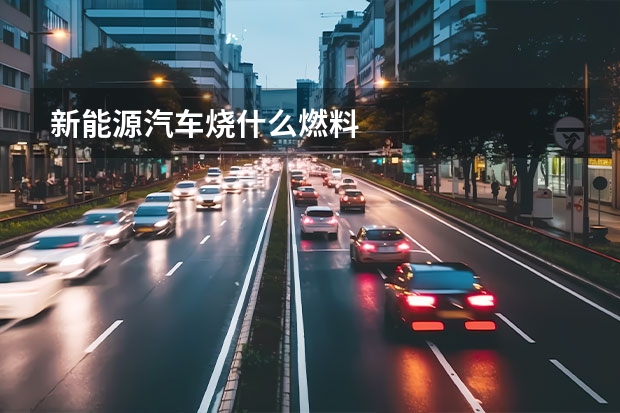 新能源汽车烧什么燃料