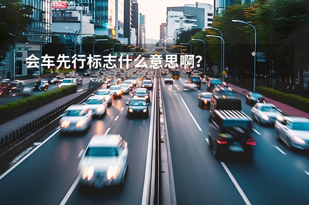 会车先行标志什么意思啊？