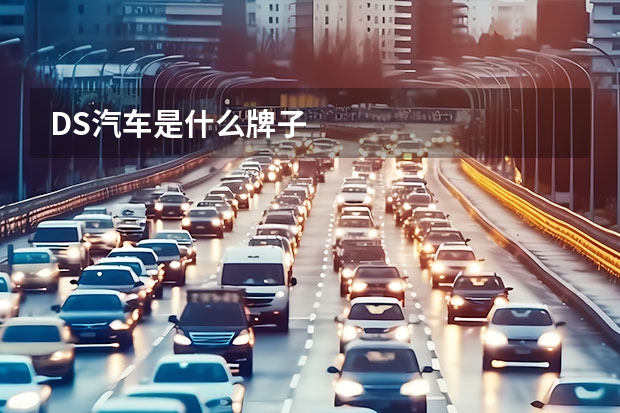 DS汽车是什么牌子