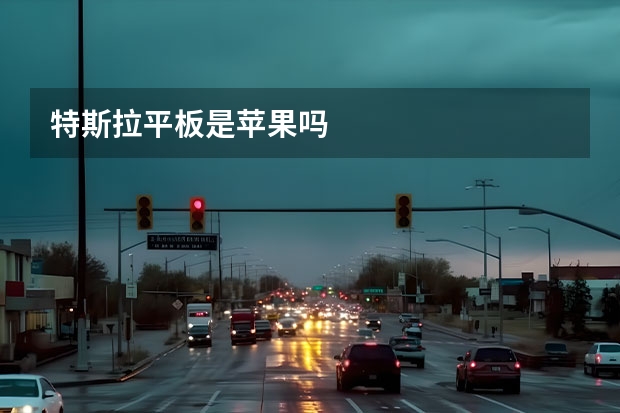 特斯拉平板是苹果吗