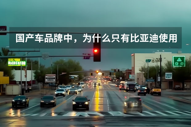 国产车品牌中，为什么只有比亚迪使用中文按键？