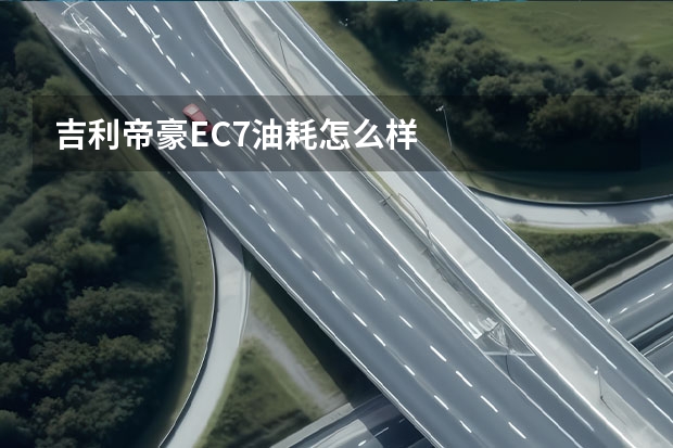 吉利帝豪EC7油耗怎么样