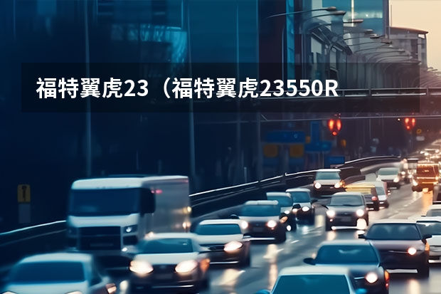 福特翼虎23（福特翼虎23550R19的轮胎能用吗?）