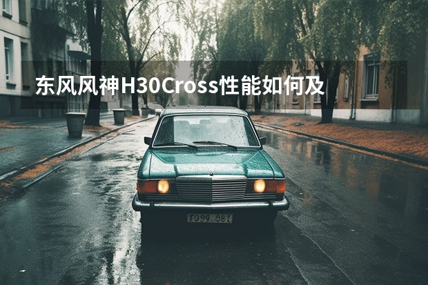 东风风神H30Cross性能如何及其简介
