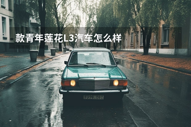 款青年莲花L3汽车怎么样