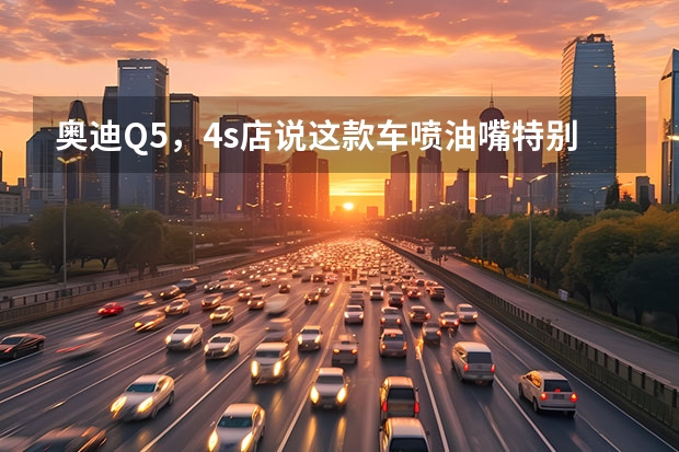 奥迪Q5，4s店说这款车喷油嘴特别容易坏喷油嘴堵塞是吗？