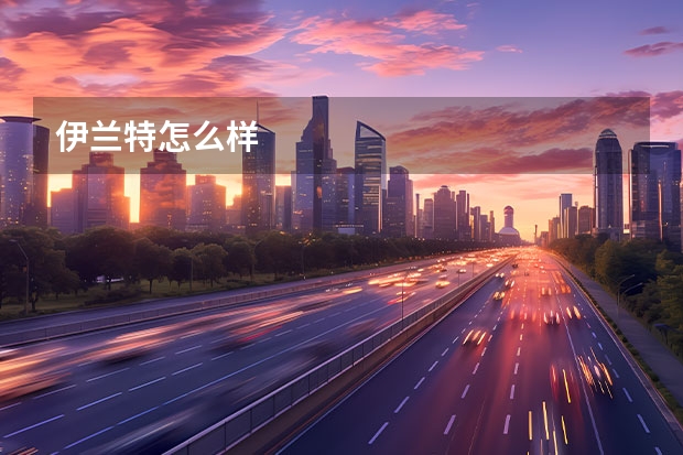伊兰特怎么样
