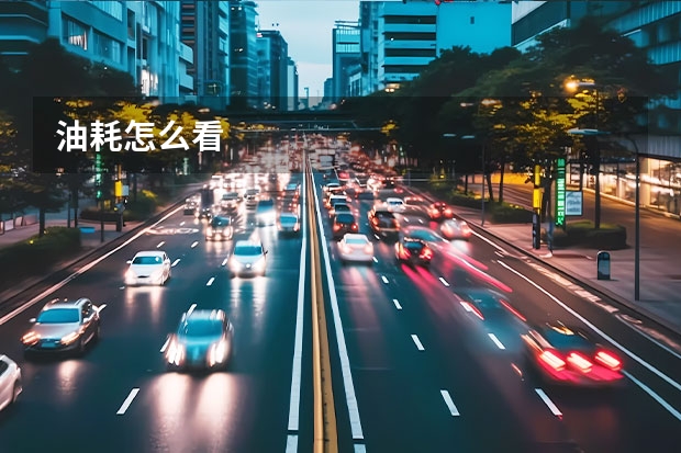 油耗怎么看