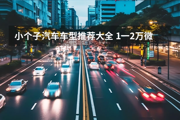 小个子汽车车型推荐大全 1一2万微型小汽车