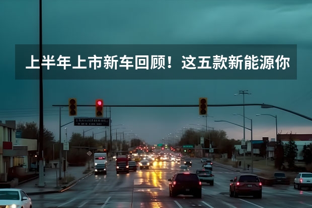 上半年上市新车回顾！这五款新能源你一定会喜欢，可能你已买 5万以下的新能源电动汽车