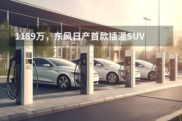 11.89万，东风日产首款插混SUV，性价比超宋Pro（挡位最多的混动系统——试驾皓瀚·马赫电混DH-i）