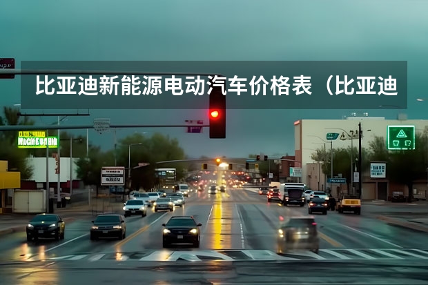 比亚迪新能源电动汽车价格表（比亚迪王朝车型12月降价；魅族也要做汽车了）