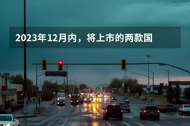 2023年12月内，将上市的两款国产新能源SUV新车 suv车型大全2023新款价格