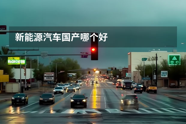 新能源汽车国产哪个好