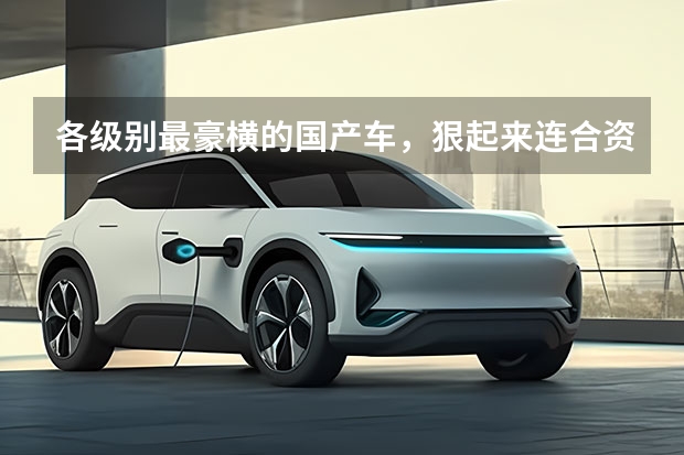各级别最豪横的国产车，狠起来连合资车都怕（9-100万+全都有，2022粤港澳车展6款热门国产车）