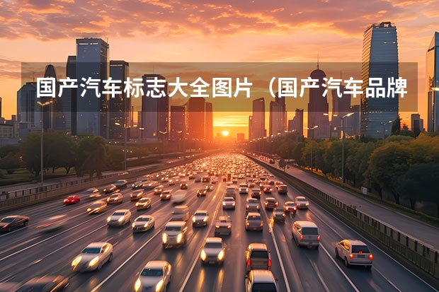 国产汽车标志大全图片（国产汽车品牌标志大全及名称）