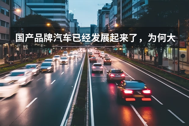 国产品牌汽车已经发展起来了，为何大多数人还买合资车？（为何年轻人选择国产车偏多）