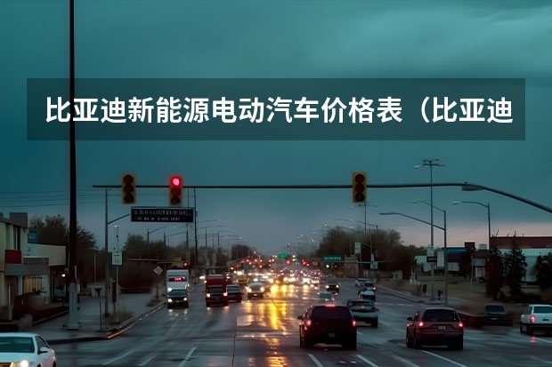 比亚迪新能源电动汽车价格表（比亚迪电动车哪款好？）