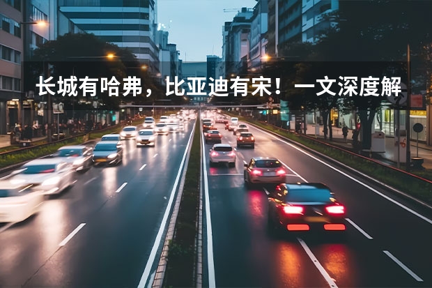 长城有哈弗，比亚迪有宋！一文深度解析宋家族，哪款适合你 20万左右最好的新能源车？试驾比亚迪宋Pro DM～