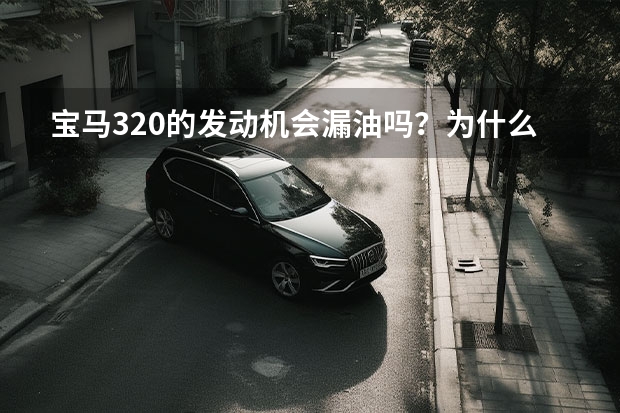 宝马320的发动机会漏油吗？为什么？