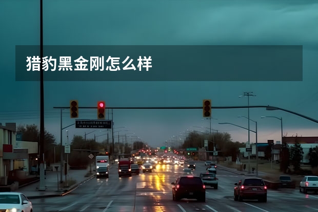 猎豹黑金刚怎么样