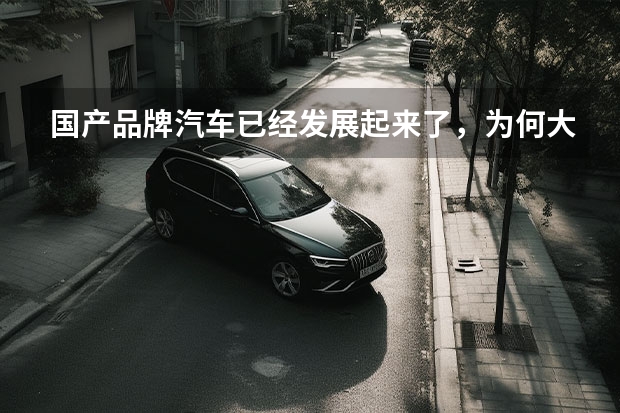 国产品牌汽车已经发展起来了，为何大多数人还买合资车？ 国产车的耐用性真的不如合资车么