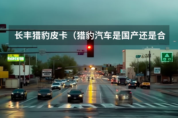 长丰猎豹皮卡（猎豹汽车是国产还是合资品牌）