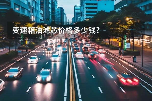 变速箱油滤芯价格多少钱?