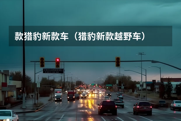 款猎豹新款车（猎豹新款越野车）