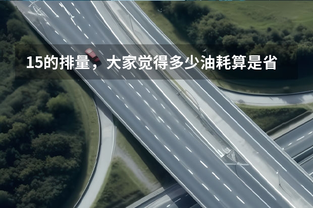 1.5的排量，大家觉得多少油耗算是省油？