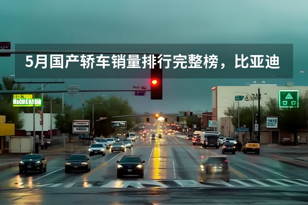 5月国产轿车销量排行完整榜，比亚迪包揽前二，帝豪不敌逸动（国产车排行榜前十名品牌）