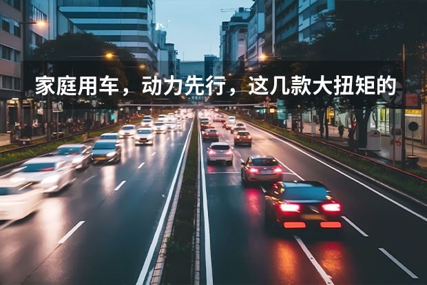 家庭用车，动力先行，这几款大扭矩的家用SUV值得推荐！（油电混suv哪款最好）